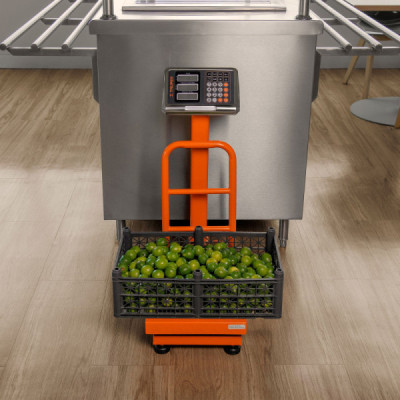 Báscula De Plataforma Plegable 100 Kg Recargable Con Display Truper (BAS-100PLA)