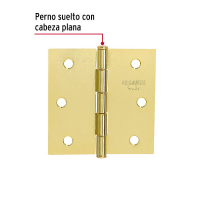 Set 20 Bisagras Latonadas 65mm Hermex Basic Con Tornillos (BC-251PP)